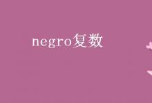 教育資訊:negro復(fù)數(shù)