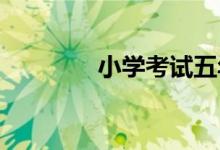 小學考試五年級作文怎樣寫