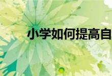 小學(xué)如何提高自己的作文寫作技巧？