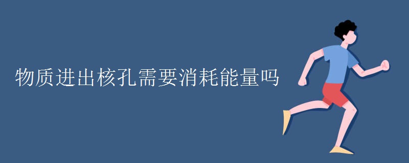 物質(zhì)進出核孔需要消耗能量嗎
