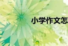 小學(xué)作文怎么才能拿高分?
