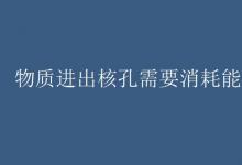 教育資訊:物質(zhì)進(jìn)出核孔需要消耗能量嗎