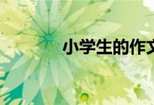 小學(xué)生的作文水平怎樣提高？