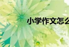 小學(xué)作文怎么積累好詞,成語？