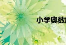 小學(xué)奧數(shù)解題方法大全