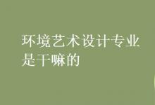 教育資訊:環(huán)境藝術(shù)設(shè)計(jì)專業(yè)是干嘛的