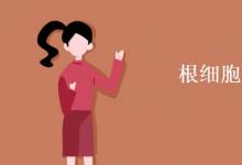 教育資訊：根細(xì)胞有葉綠體嗎