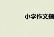 小學(xué)作文指導(dǎo)：如何點(diǎn)題？