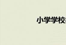小學(xué)學(xué)校類別怎么填寫