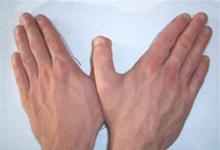 兒童手影畫(huà)華畫(huà)步