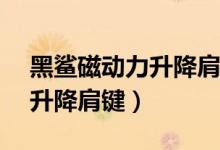 黑鯊磁動(dòng)力升降肩鍵多少錢（黑鯊4s在哪里升降肩鍵）