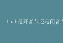 教育資訊:bush是開(kāi)音節(jié)還是閉音節(jié)