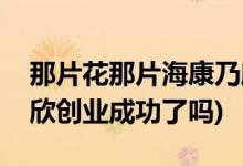 那片花那片海康乃欣結(jié)局(那片花那片?？的诵绖?chuàng)業(yè)成功了嗎)