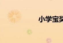 小學寶獎學金怎么用