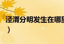 涇渭分明發(fā)生在哪里省（涇渭分明發(fā)生在哪里）