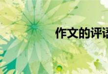作文的評語應該怎樣寫？