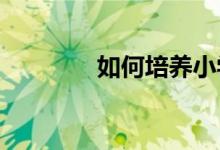 如何培養(yǎng)小學生的語文素養(yǎng)