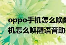 oppo手機怎么喚醒語音助手改名（oppo手機怎么喚醒語音助手）