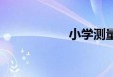 小學(xué)測(cè)量方法有幾種
