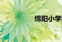 綿陽(yáng)小學(xué)網(wǎng)上怎么報(bào)名