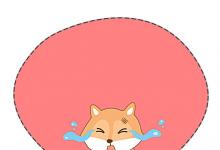 詞語(yǔ)解釋：尾生之信的意思是什么