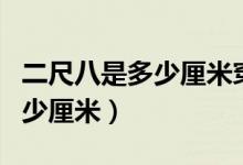二尺八是多少厘米穿多大號褲子(二尺八是多少厘米)
