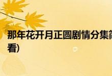 那年花開月正圓劇情分集簡介(那年花開月正圓完整版免費觀看)