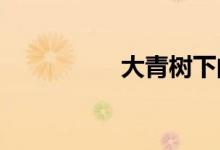 大青樹下的小學(xué)簡筆畫