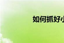 如何抓好小學(xué)生的學(xué)習(xí)？