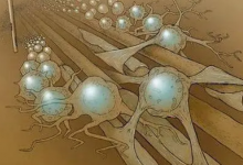 腳有灼燒感和刺痛感 可能是因為小纖維神經(jīng)病