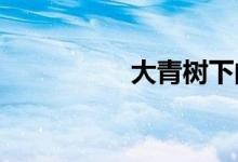 大青樹(shù)下的小學(xué)手抄報(bào)