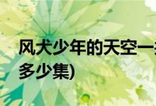 風犬少年的天空一共幾集(風犬少年的天空共多少集)