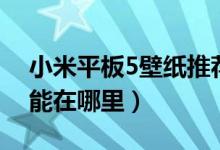 小米平板5壁紙推薦（小米平板5超級(jí)壁紙功能在哪里）