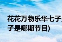 花花萬物樂華七子是哪一期(花花萬物樂華七子是哪期節(jié)目)