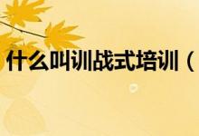 什么叫訓戰(zhàn)式培訓(個訓課主要是訓練什么)