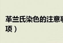 革蘭氏染色的注意事項(xiàng)（革蘭氏染色的注意事項(xiàng)）