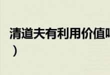 清道夫有利用價值嗎（清道夫有什么利用價值）