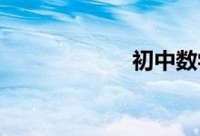 初中數(shù)學補習方法