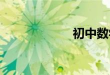 初中數學因式分解