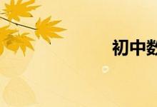 初中數學解方程