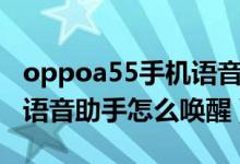 oppoa55手機(jī)語(yǔ)音助手怎么喚醒(oppoa55語(yǔ)音助手怎么喚醒)