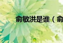 俞敏洪是誰（俞敏洪個人資料簡介）