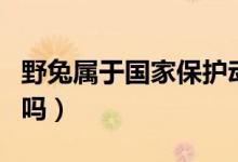 野兔屬于國家保護(hù)動(dòng)物嗎(野兔屬于保護(hù)動(dòng)物嗎)