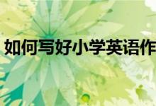 如何寫(xiě)好小學(xué)英語(yǔ)作文第四課：animal？(2)