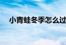 小青蛙冬季怎么過冬（小青蛙怎么過冬）