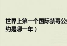 世界上第一個國際禁毒公約是哪年（世界第一個國際禁毒公約是哪一年）