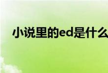 小說(shuō)里的ed是什么(小說(shuō)ed是什么意思)