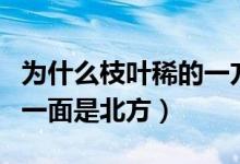 為什么枝葉稀的一方是北方(為什么枝葉稀的一面是北方)