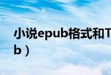 小說(shuō)epub格式和TXT有什么不同(小說(shuō)epub)