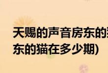 天賜的聲音房東的貓是第幾期(天賜的聲音房東的貓在多少期)